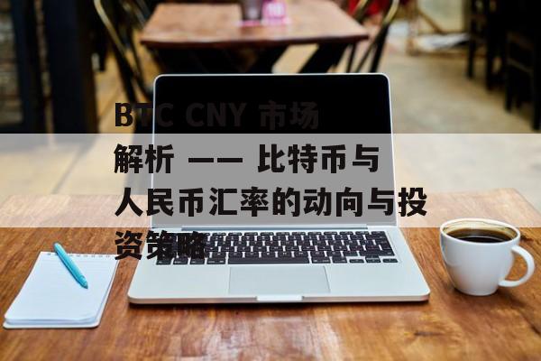BTC CNY 市场解析 —— 比特币与人民币汇率的动向与投资策略